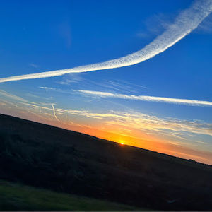 Meet your Posher, Presley